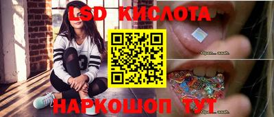 молекула духа Новозыбков