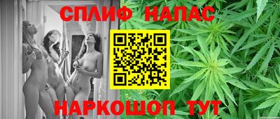 молекула духа Новозыбков