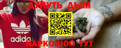 тгк Новокубанск