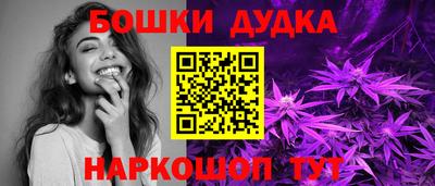 молекула духа Новозыбков