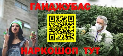 тгк Новокубанск