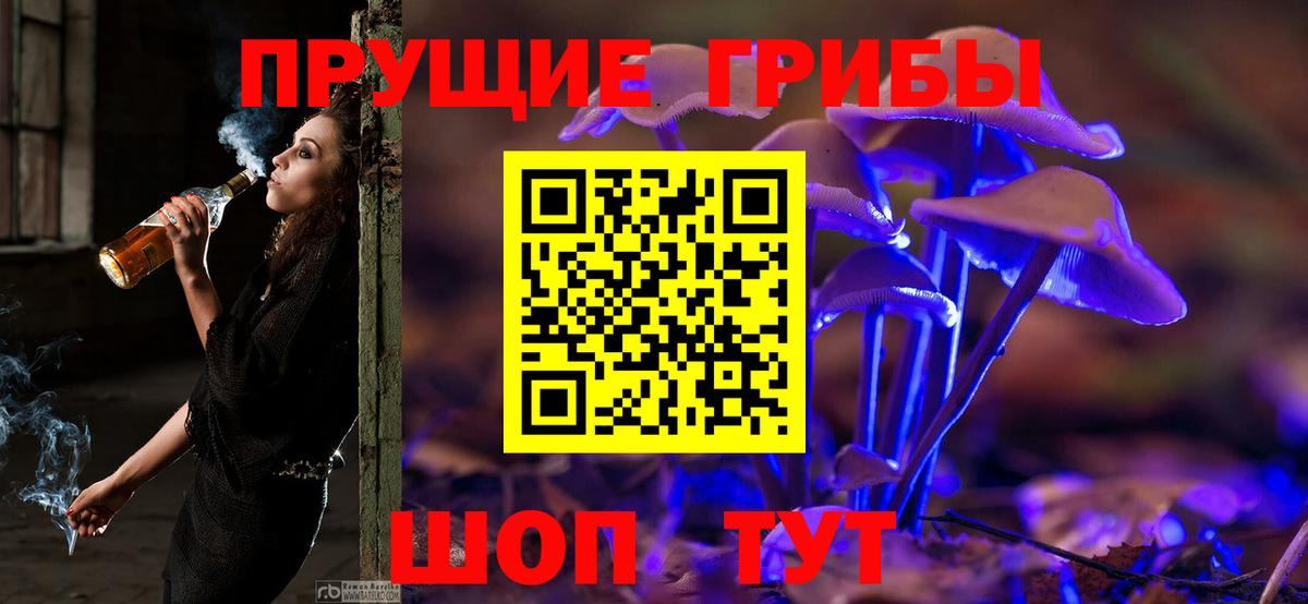 Псилоцибиновые грибы ЛСД  Вход с VPN  Псилоцибиновые грибы Cubensis  Советская Гавань 